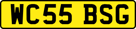 WC55BSG