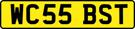 WC55BST