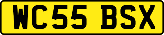 WC55BSX