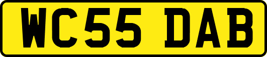 WC55DAB