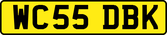 WC55DBK