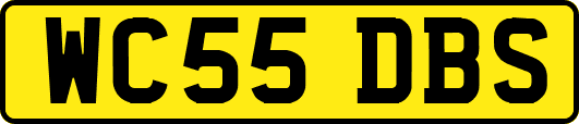 WC55DBS