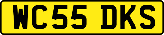 WC55DKS