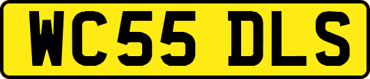 WC55DLS