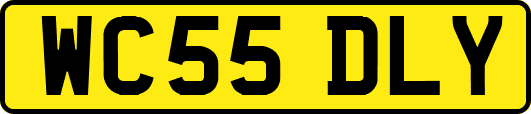 WC55DLY