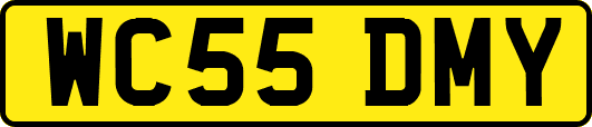 WC55DMY