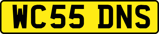 WC55DNS