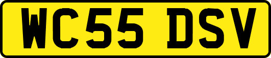 WC55DSV