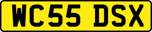 WC55DSX