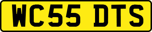 WC55DTS