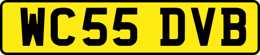 WC55DVB