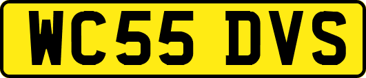 WC55DVS
