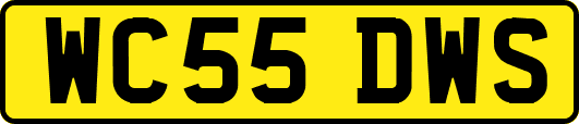 WC55DWS