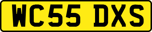 WC55DXS