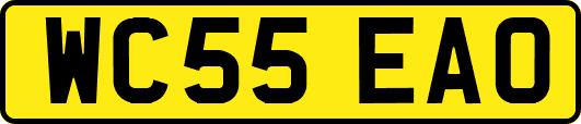 WC55EAO