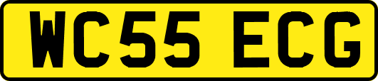 WC55ECG