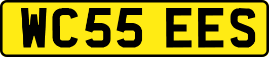 WC55EES