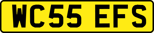 WC55EFS