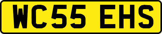 WC55EHS