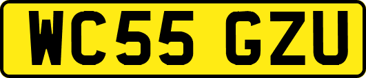 WC55GZU