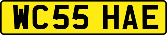 WC55HAE