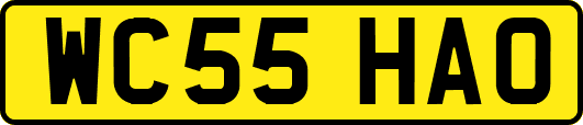 WC55HAO
