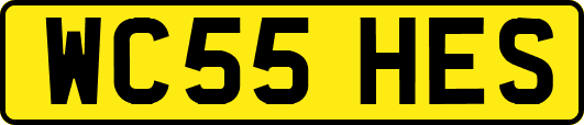 WC55HES