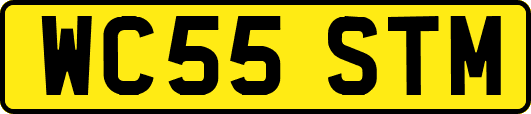 WC55STM