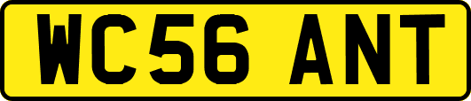 WC56ANT