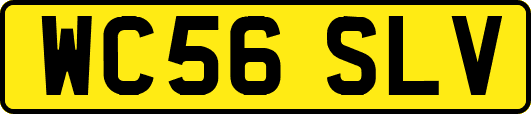 WC56SLV