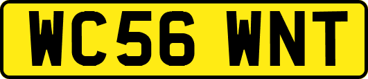 WC56WNT