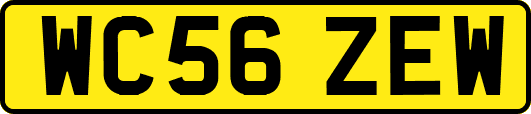 WC56ZEW