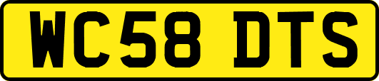 WC58DTS