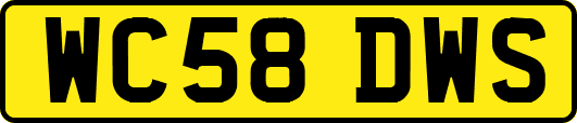 WC58DWS