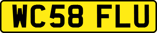 WC58FLU