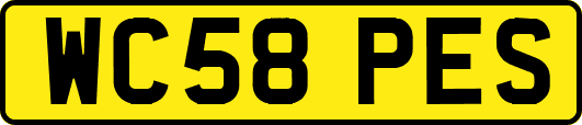 WC58PES