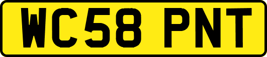 WC58PNT