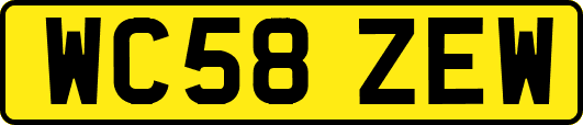 WC58ZEW