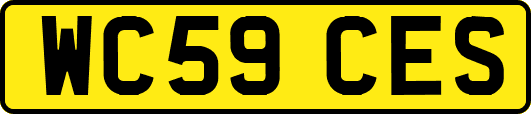 WC59CES
