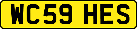 WC59HES