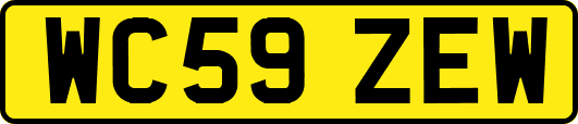 WC59ZEW