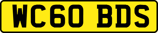 WC60BDS