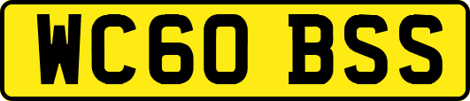 WC60BSS