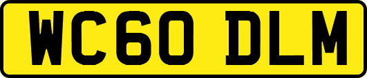 WC60DLM