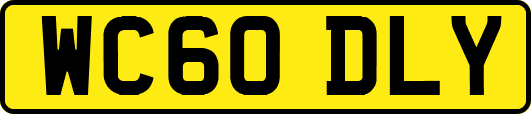 WC60DLY