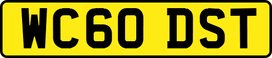 WC60DST