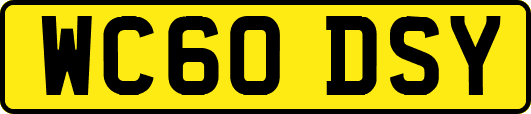WC60DSY