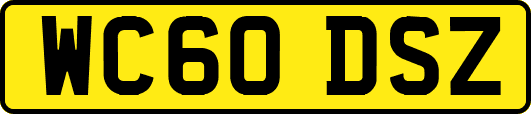 WC60DSZ
