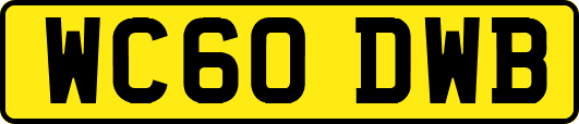 WC60DWB