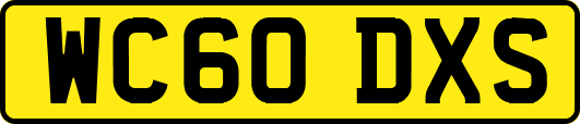 WC60DXS